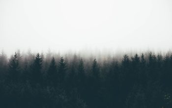 It’s All About Process | How To Overcome Mental Barriers and Take Back Your Sanity
